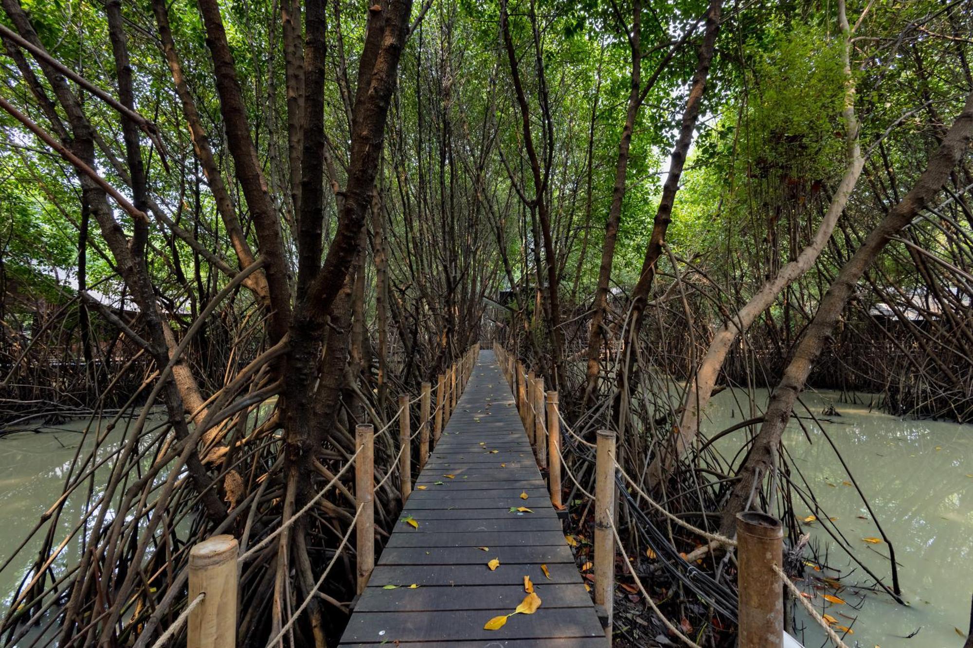 RedDoorz Resort @ Taman Wisata Mangrove Jakarta Exterior foto